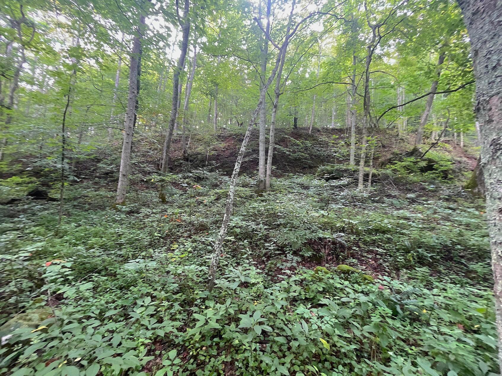 0 Elliott Road Patriot, OH 45658 - Photo 24 of 32