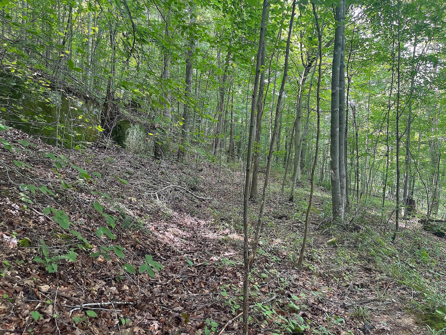 0 Elliott Road Patriot, OH 45658 - Photo 26 of 32