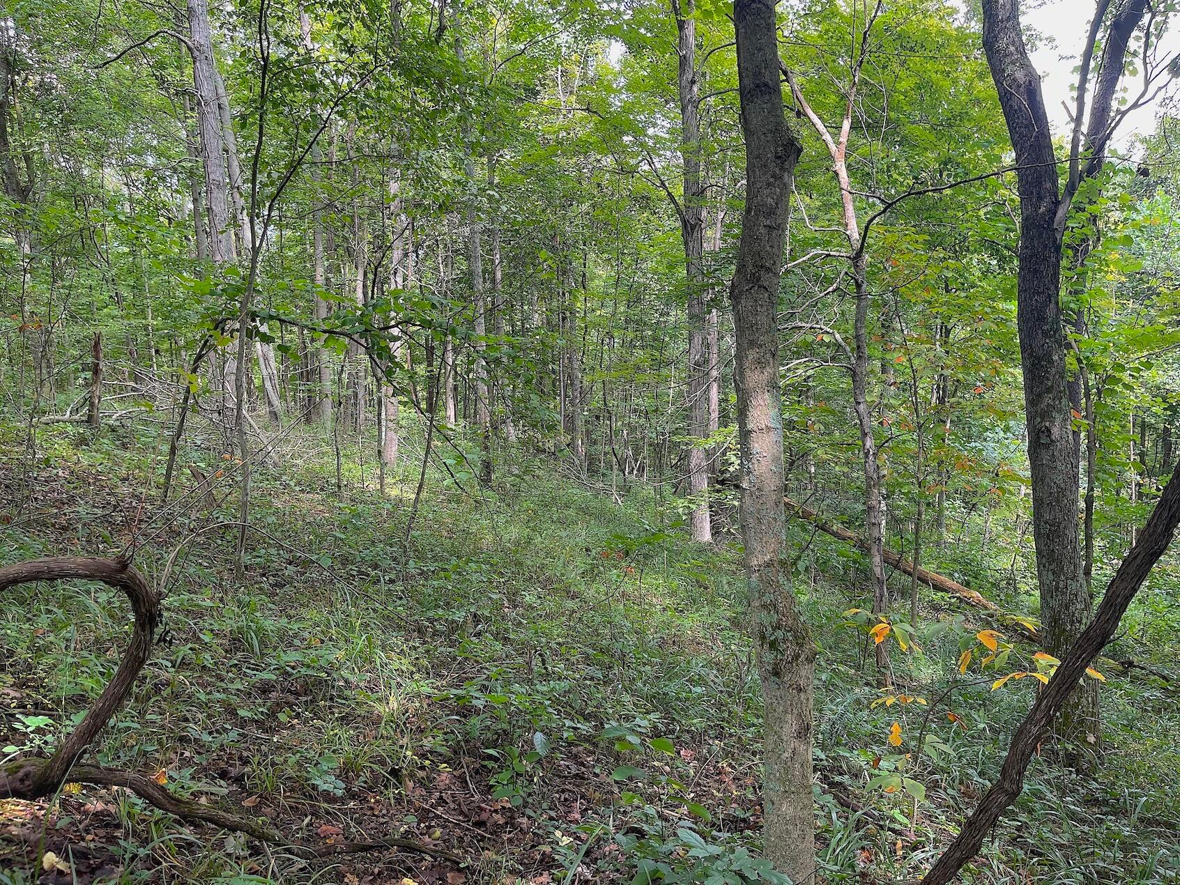 0 Elliott Road Patriot, OH 45658 - Photo 27 of 32