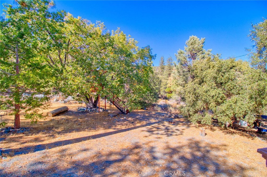 1604 Blackbird Road Wrightwood, CA 92397 - Photo 53 of 64