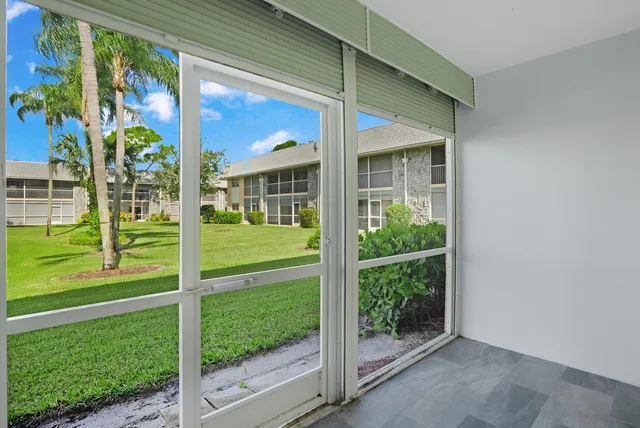 a view of a park with a palm tree