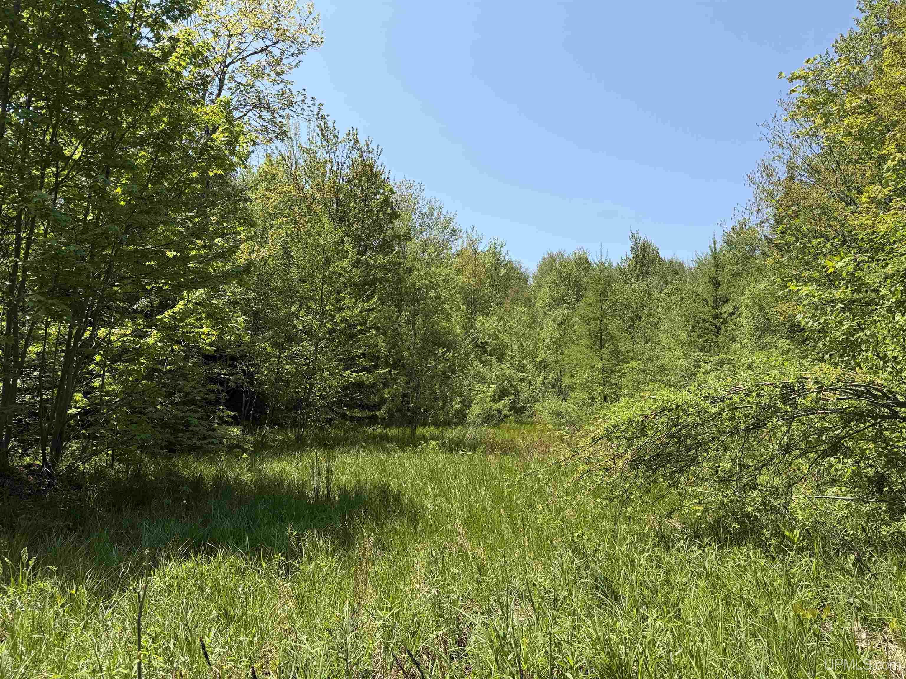 Off East Lake Road Ironwood, MI 49938 - Photo 9 of 30