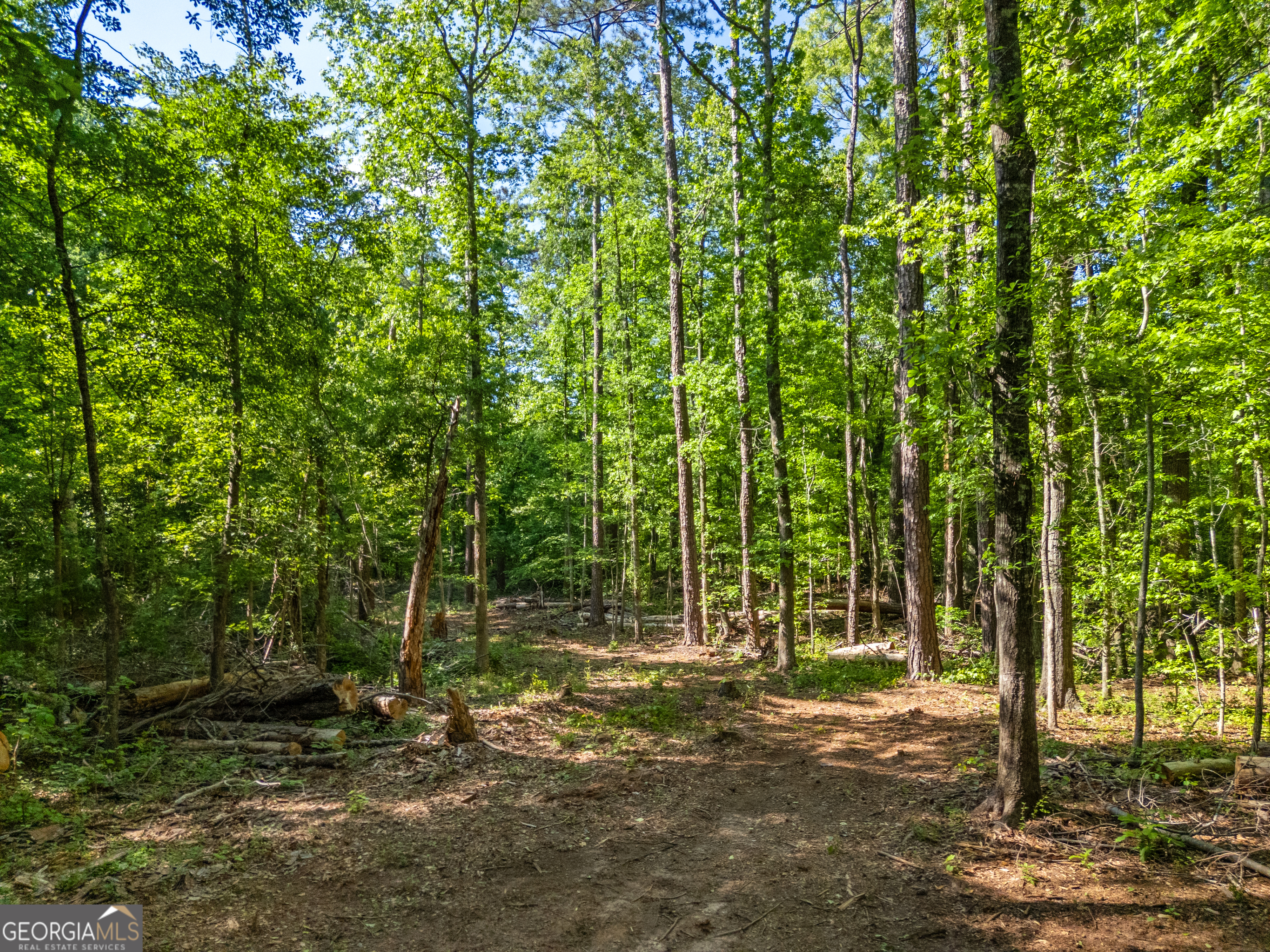 0 Oak Road Jenkinsburg, GA 30234 - Photo 14 of 18 Gallery Image 14