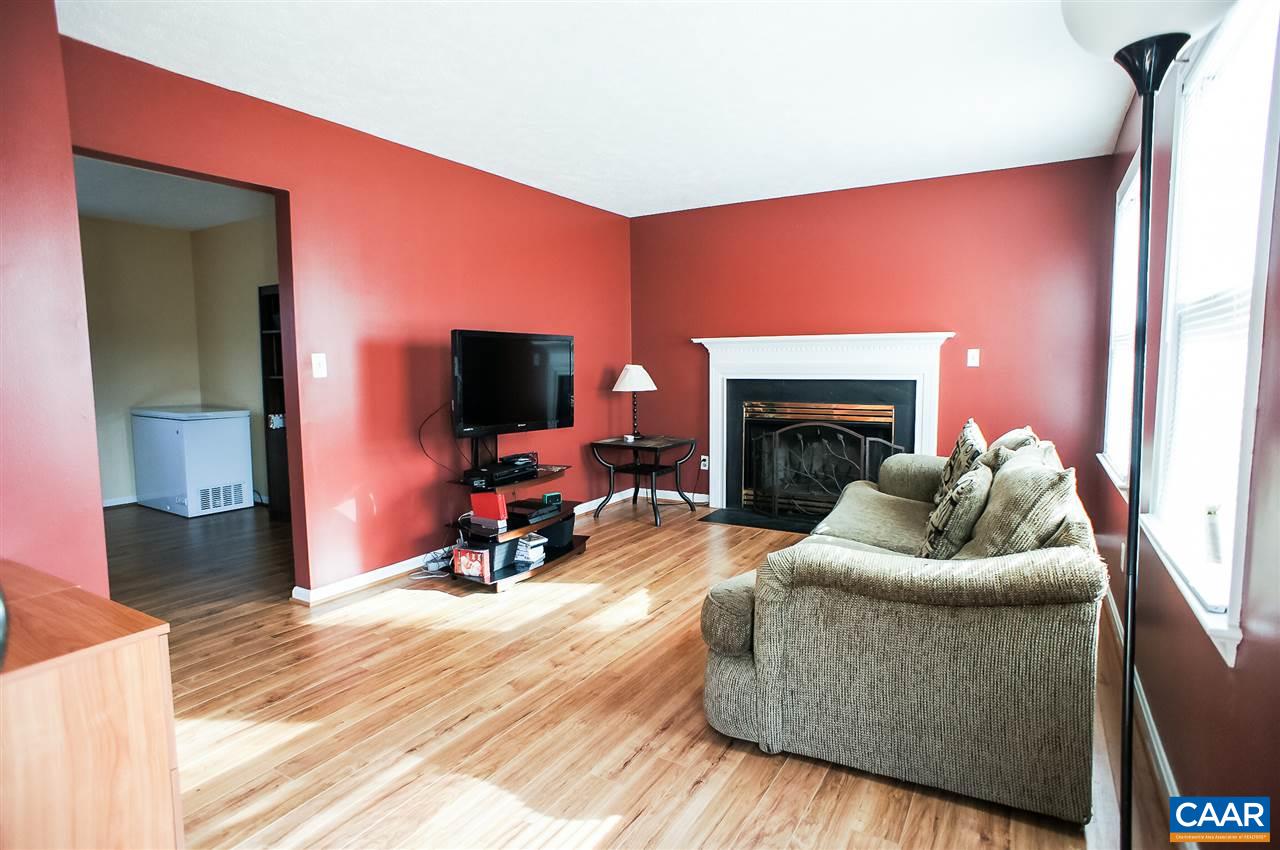 1074 Cedar Grove Road Ruckersville, VA 22968 - Photo 4 of 23 a living room with furniture and a fireplace