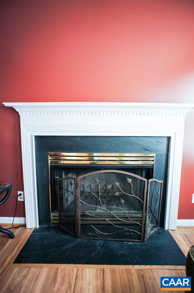 1074 Cedar Grove Road Ruckersville, VA 22968 - Photo 5 of 23 a close view of fireplace