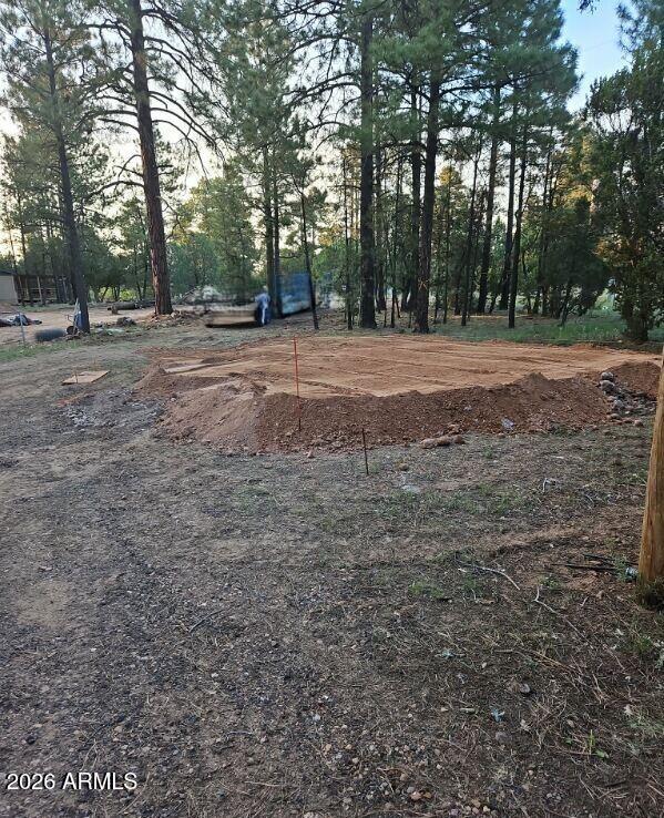 2890 Pine Rim Road Overgaard, AZ 85933 - Photo 2 of 5