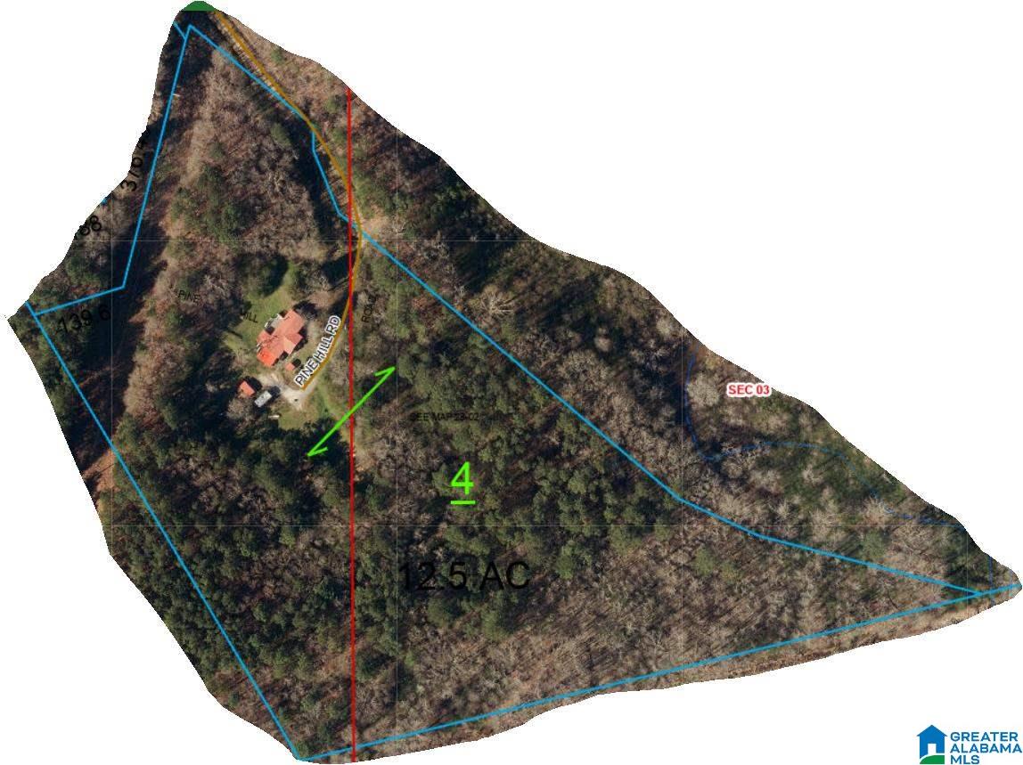 250 Pinehill Road Pell City, AL 35125 - Photo 14 of 15