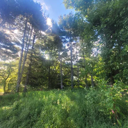 $300,000 | 6797 Devils Lake Highway, Manitou Beach, MI 49253