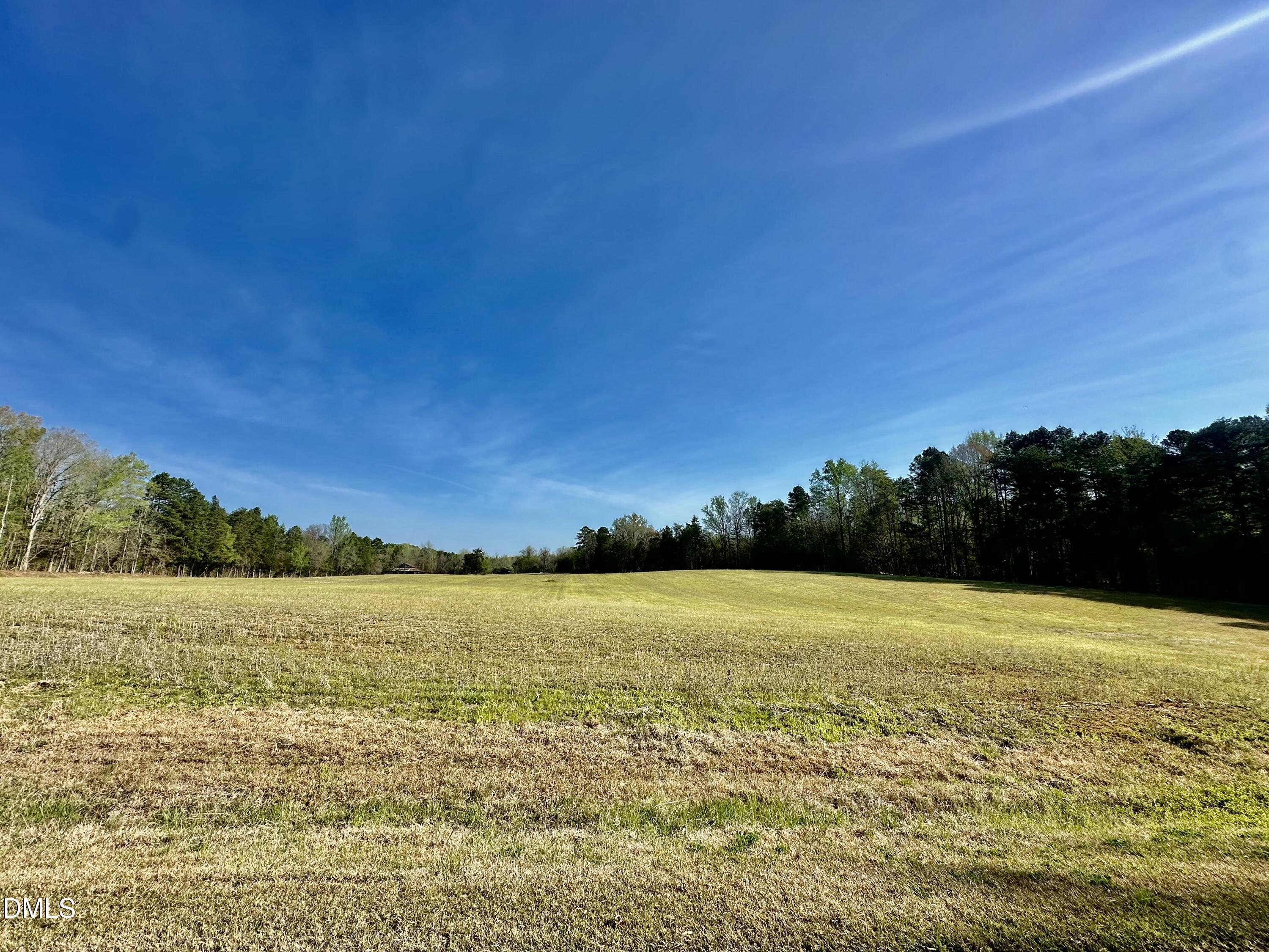 11-acres Skip Rogers Road Hurdle Mills, NC 27541 - Photo 6 of 8 a view of an ocean and beach