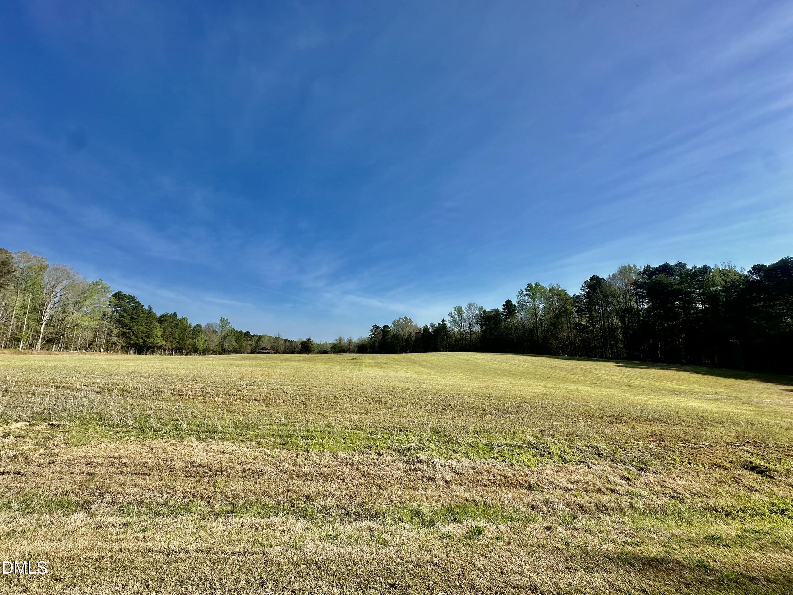 11-acres Skip Rogers Road Hurdle Mills, NC 27541 - Photo 7 of 8 a view of an ocean and beach