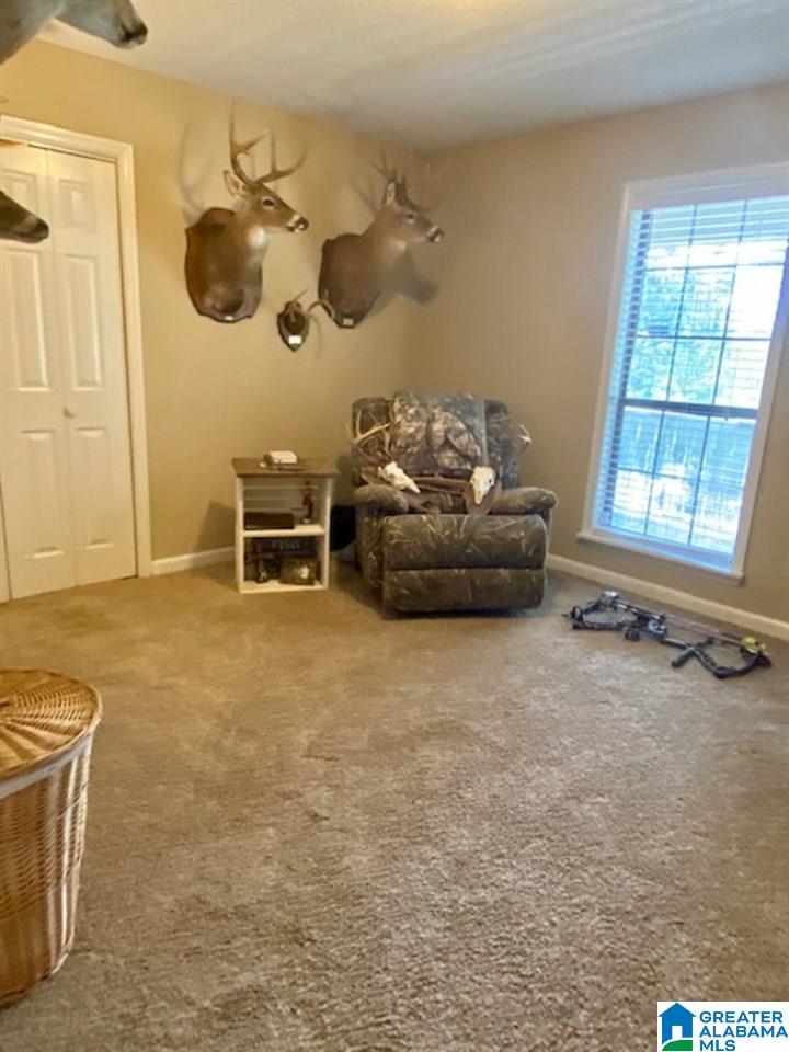 176 Eureka Road Lincoln, AL 35096 - Photo 12 of 24