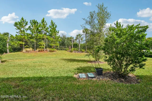 a house view with a garden space