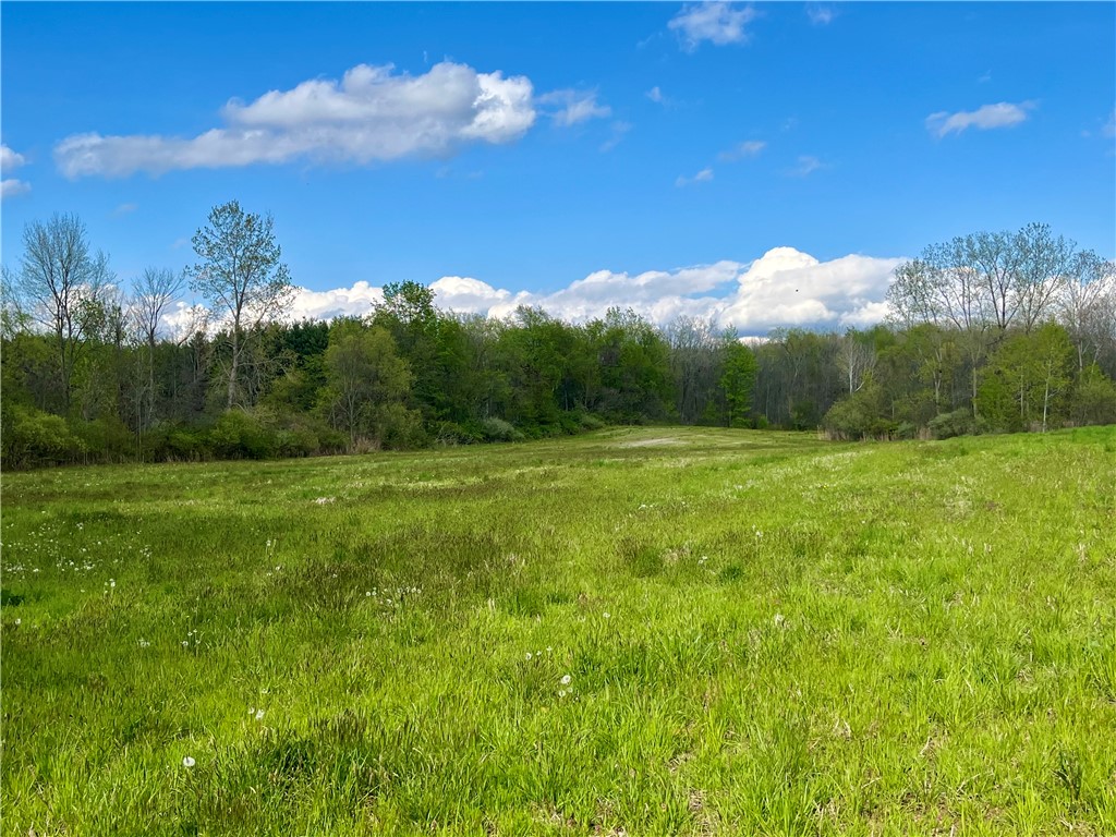 0 Stone/state Route 104 Road Wolcott, NY 14590 - Photo 1 of 6