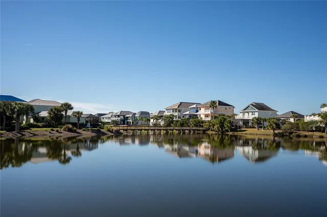 a view of a palm tree with a big yard