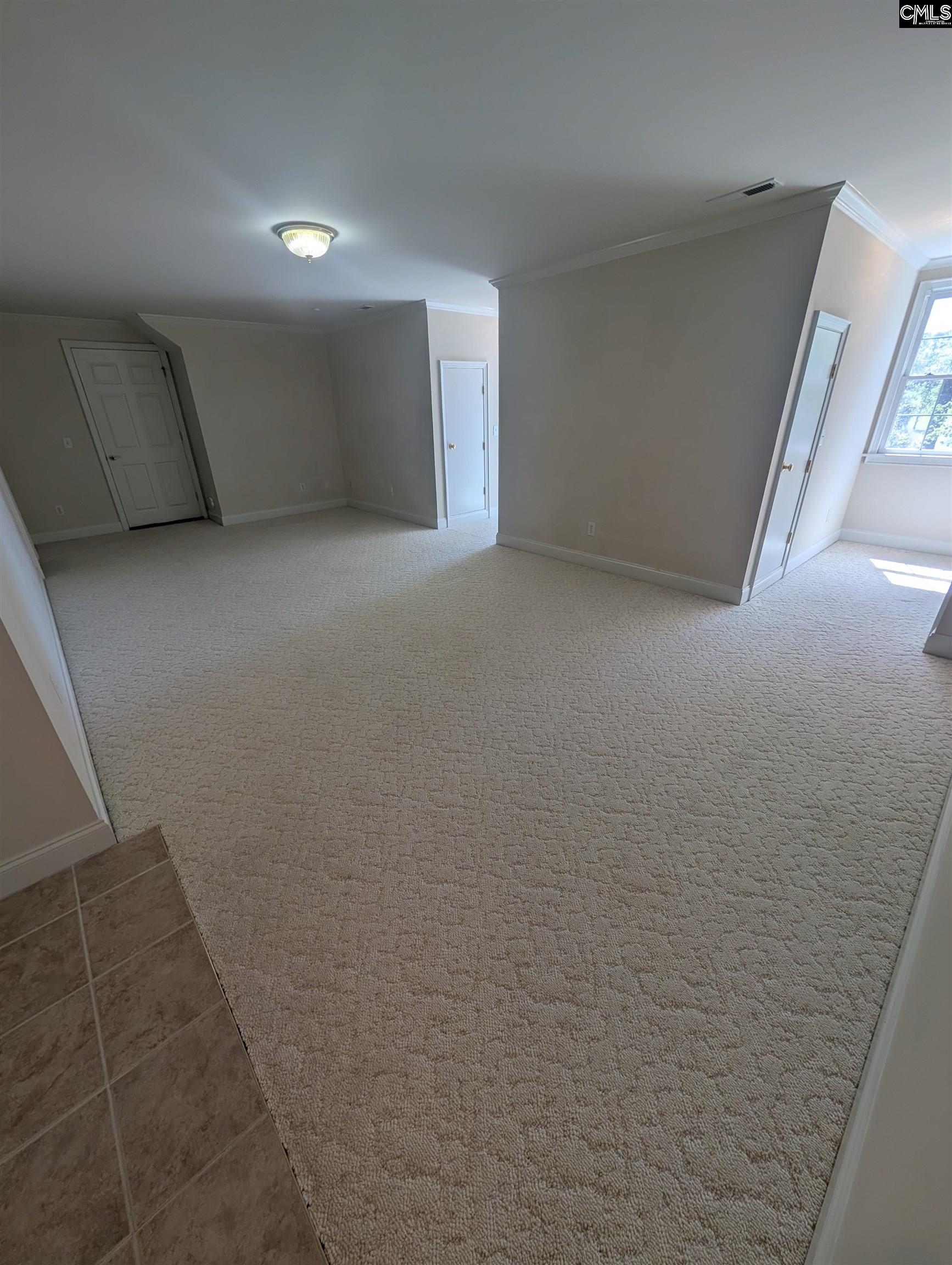 1121 Canterfield Road Chapin, SC 29036 - Photo 22 of 50