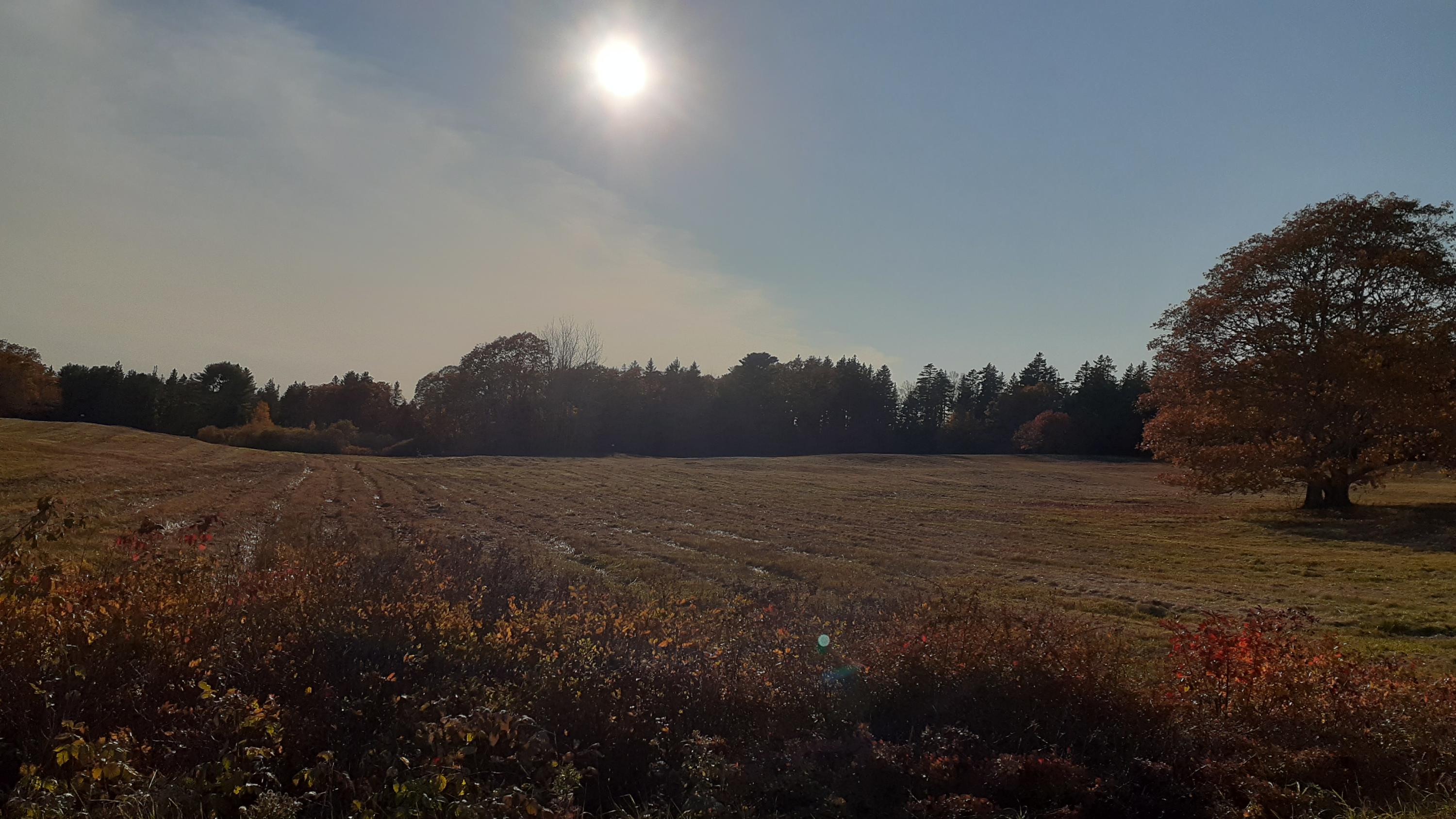 278 Davis Point Road Cushing, ME 04563 - Photo 25 of 27 20201025_153528