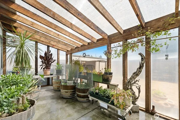 a view of a porch with potted plants