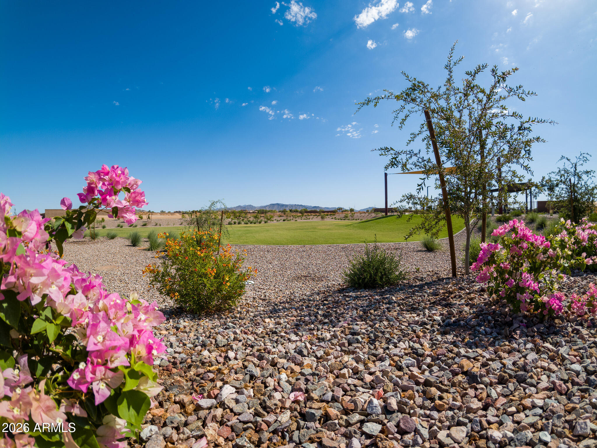 25557 West Trumbull Road Buckeye, AZ 85326 - Photo 6 of 8 HaydenEstates_BuckeyeAZ-9