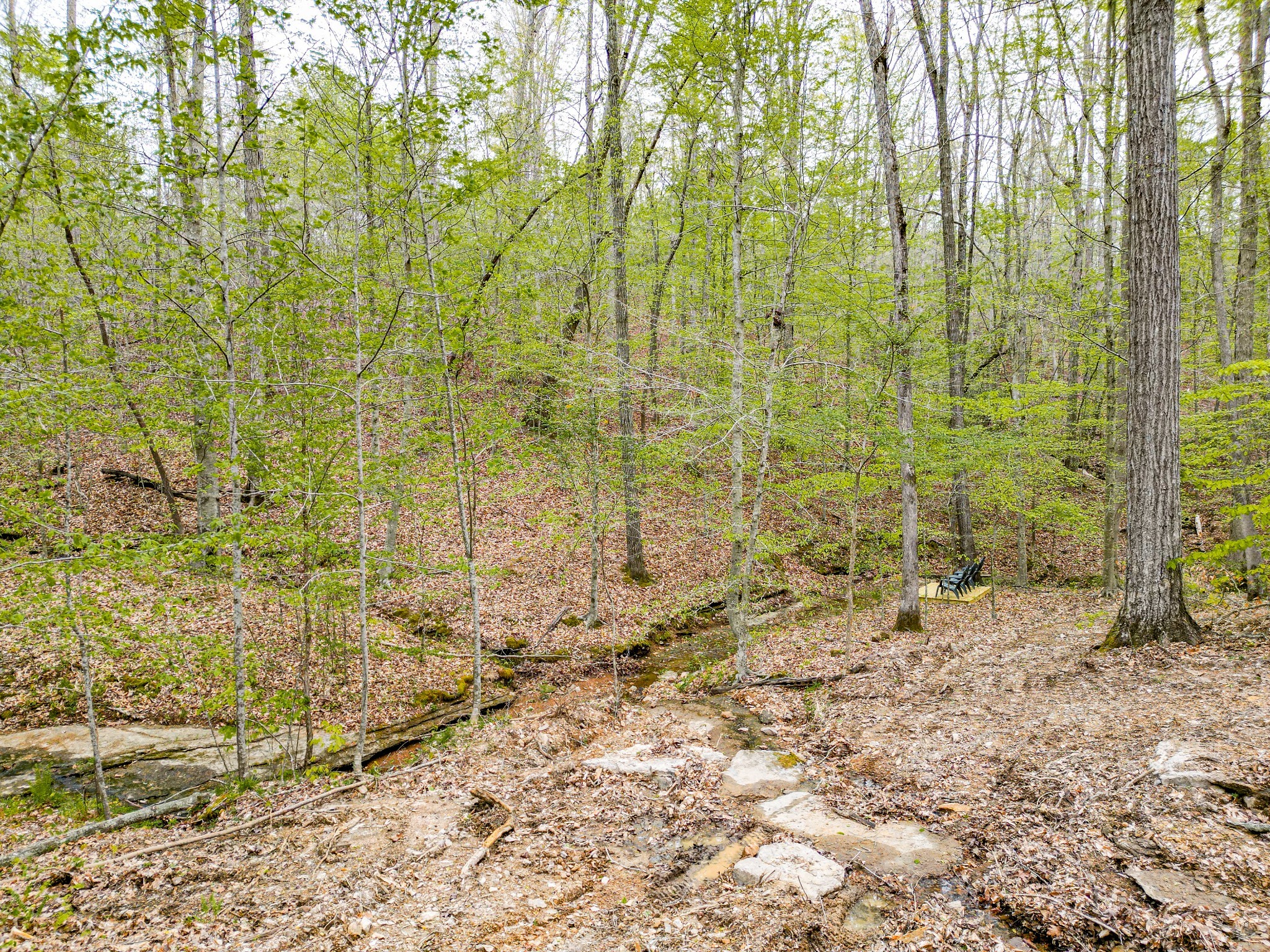 920 Mason Bates Bend Road Centerville, TN 37033 - Photo 46 of 82 Gallery Image 46