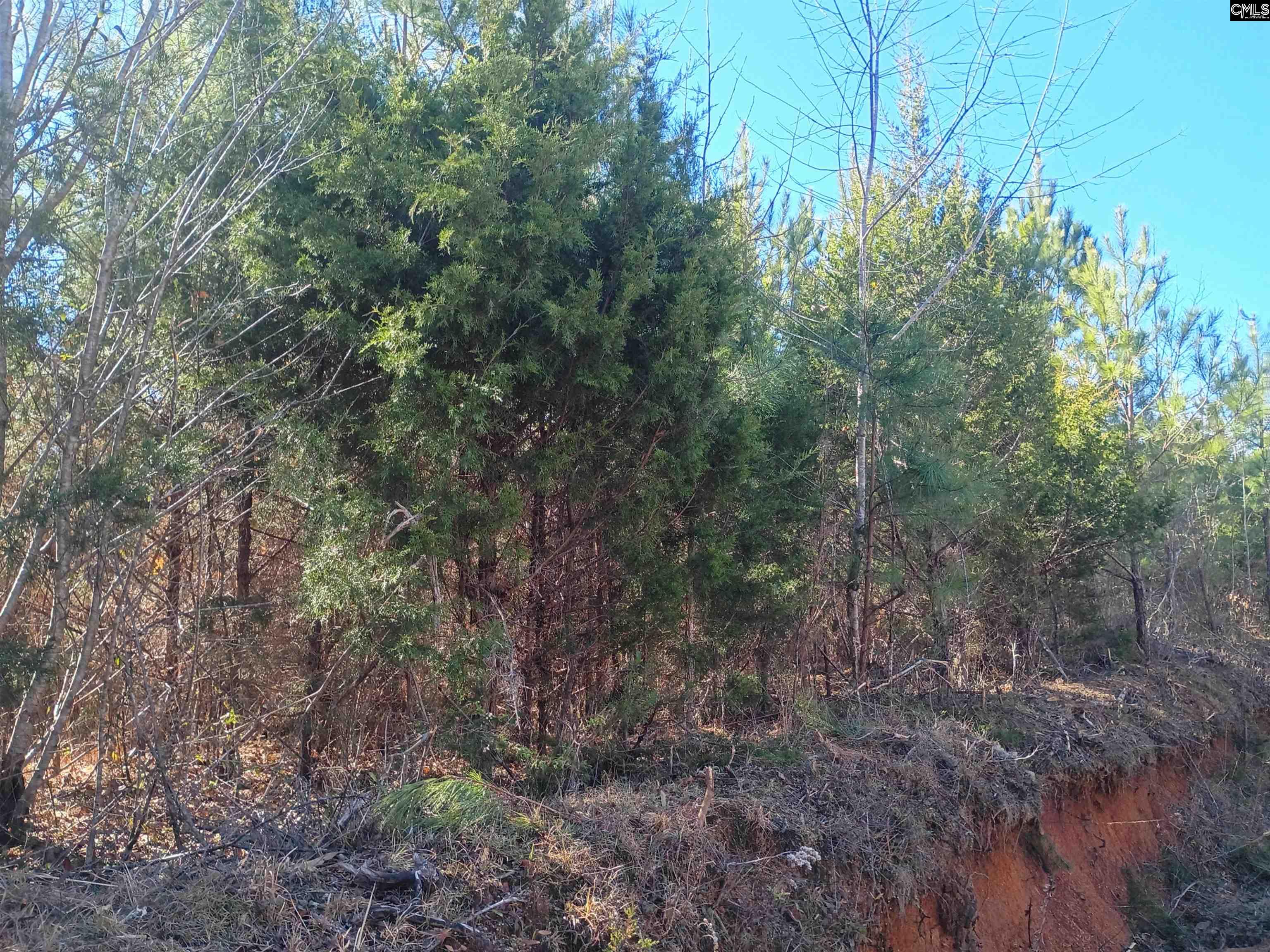 1163 June Berry Road Camden, SC 29020 - Photo 2 of 20