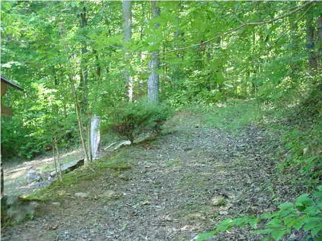 7365 Mullins Cove Road Whitwell, TN 37397 - Photo 3 of 8 Additional Photo