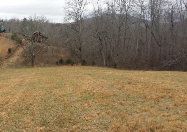61-ac Cooper Road Alpine, TN 38543 - Photo 3 of 6 03