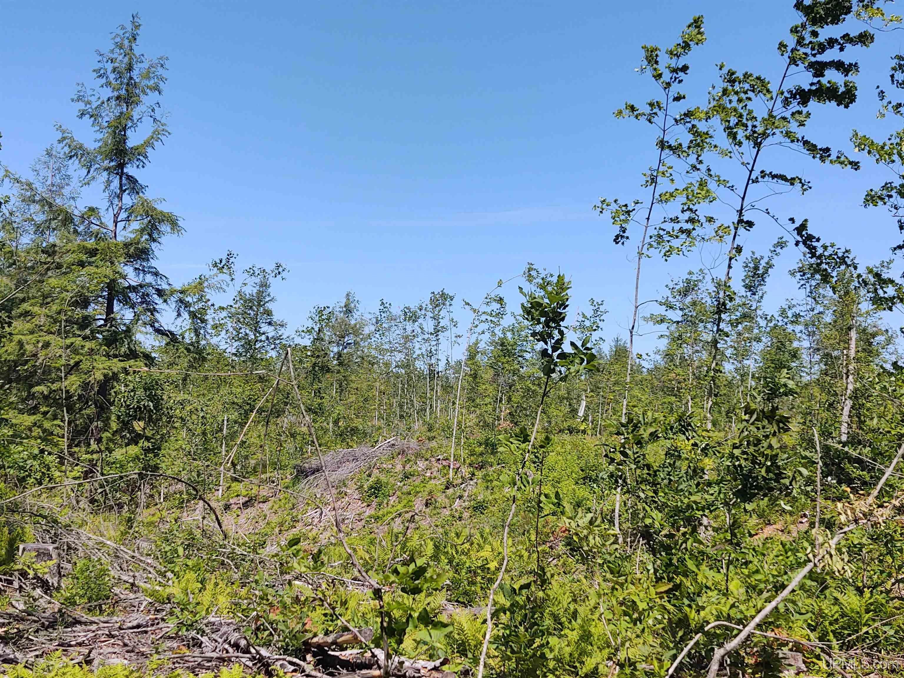 Tbd Moyer Road Baraga, MI 49908 - Photo 47 of 51 Gallery Image 47