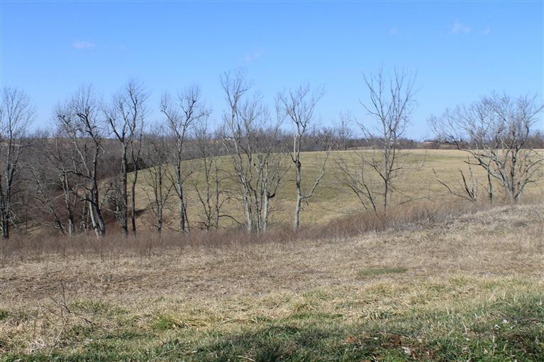 1 Nina Ridge Road Lancaster, KY 40444 - Photo 37 of 56 Photo 38