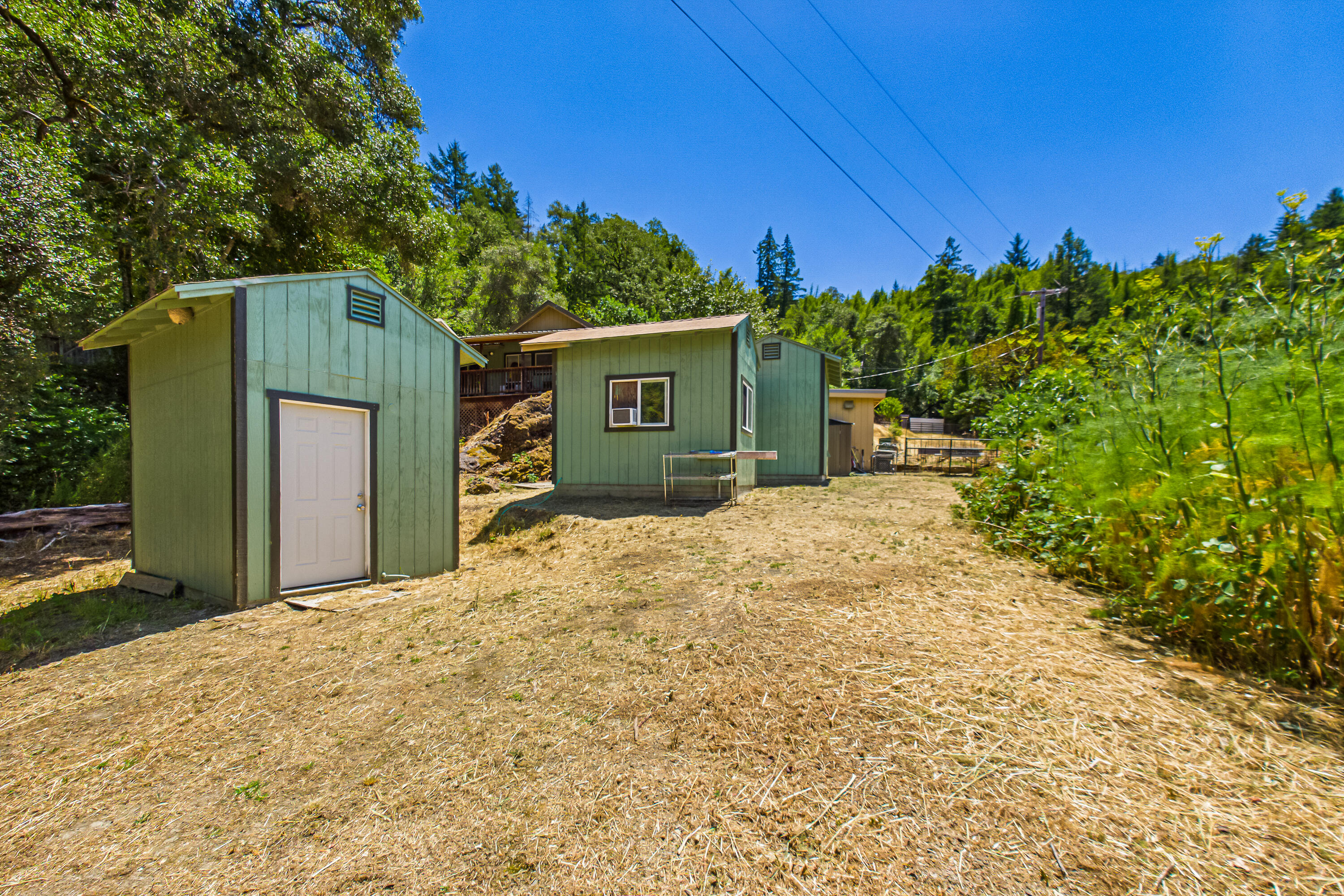 1250 Zenia Bluff Road Alderpoint, CA 95511 - Photo 57 of 73