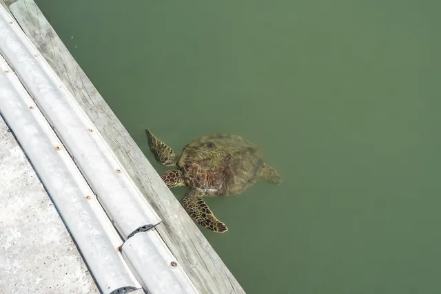 $899,000 | 318 West Cotter Avenue, Unit 1, Port Aransas, TX 78373