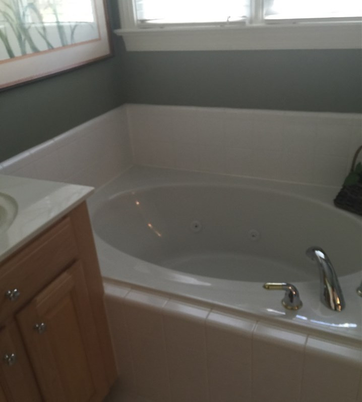 7406 Fontana Ridge Lane Raleigh, NC 27613 - Photo 11 of 23 Master Bath/Spa