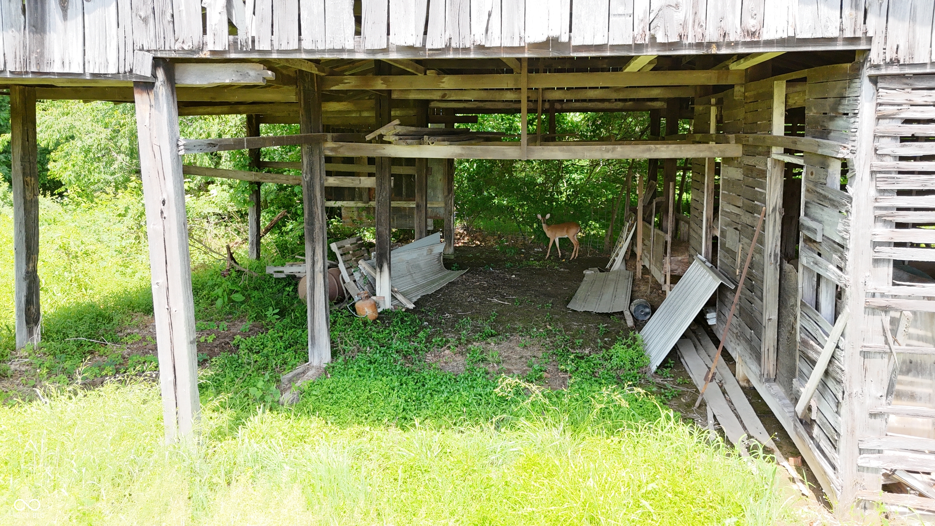 19205 Michigan Road Marysville, IN 47141 - Photo 5 of 91