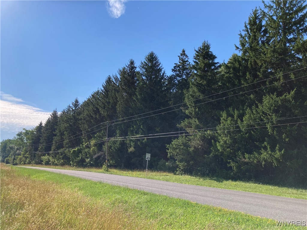 Brucker Road Akron, NY 14001 - Photo 1 of 1 Gallery Image 1