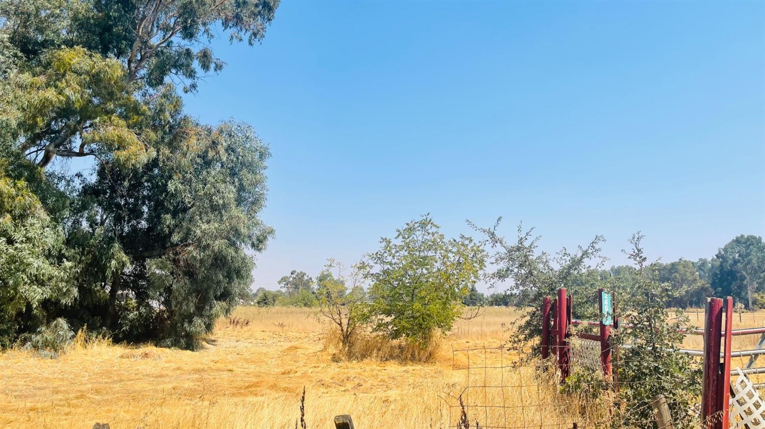 24606 North Pearl Road Acampo, CA 95220 - Photo 1 of 1 a view of a yard with a tree