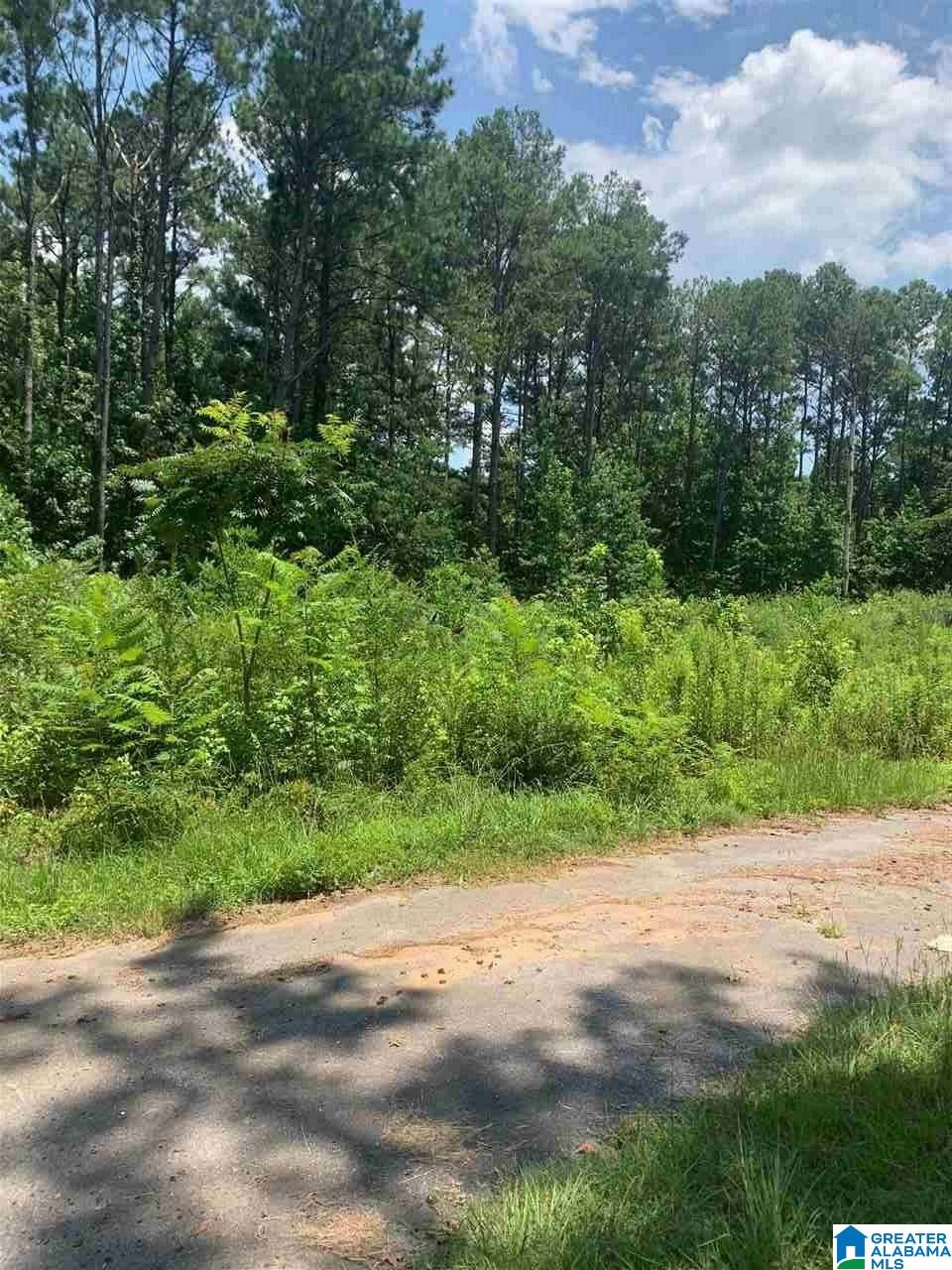 123 Wooten Road, Unit LOT 1 Alabaster, AL 35007 - Photo 2 of 3