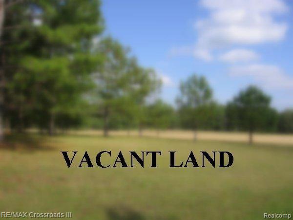 Vacant Willis Road Belleville, MI 48111 - Photo 2 of 2 vacant land web.jpg