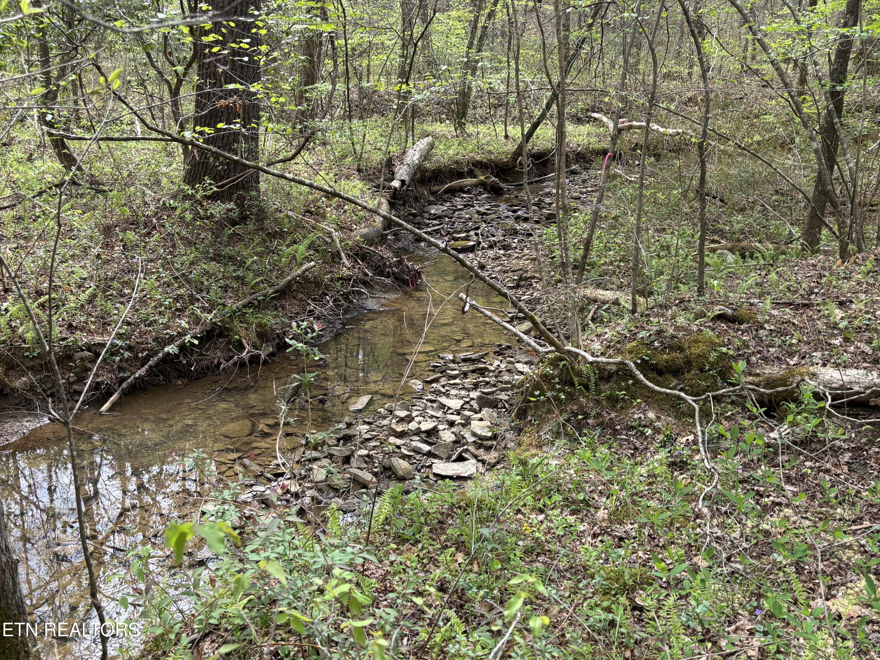 182 Nydeck Road Robbins, TN 37852 - Photo 14 of 18 IMG_5723