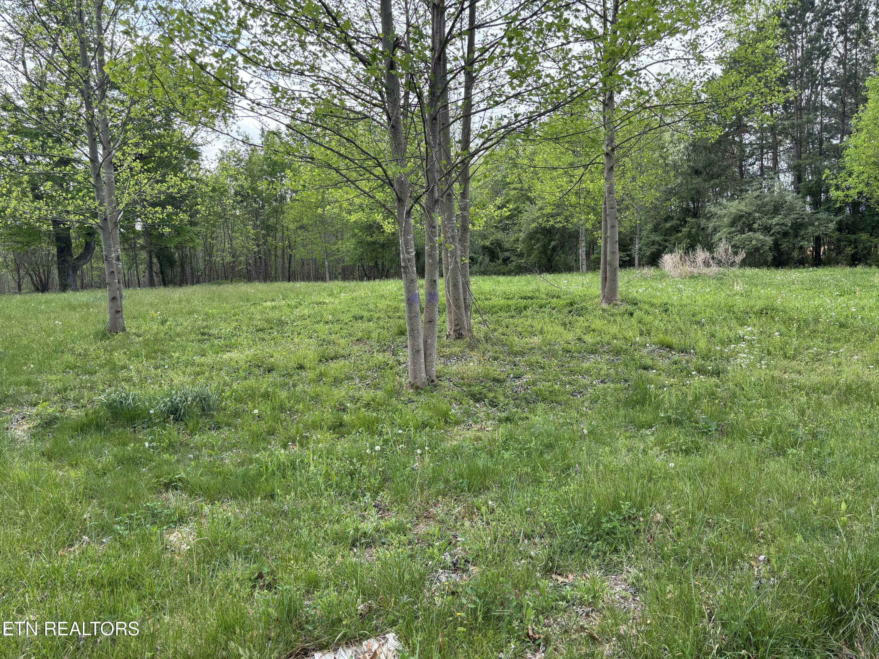182 Nydeck Road Robbins, TN 37852 - Photo 2 of 18 IMG_5736