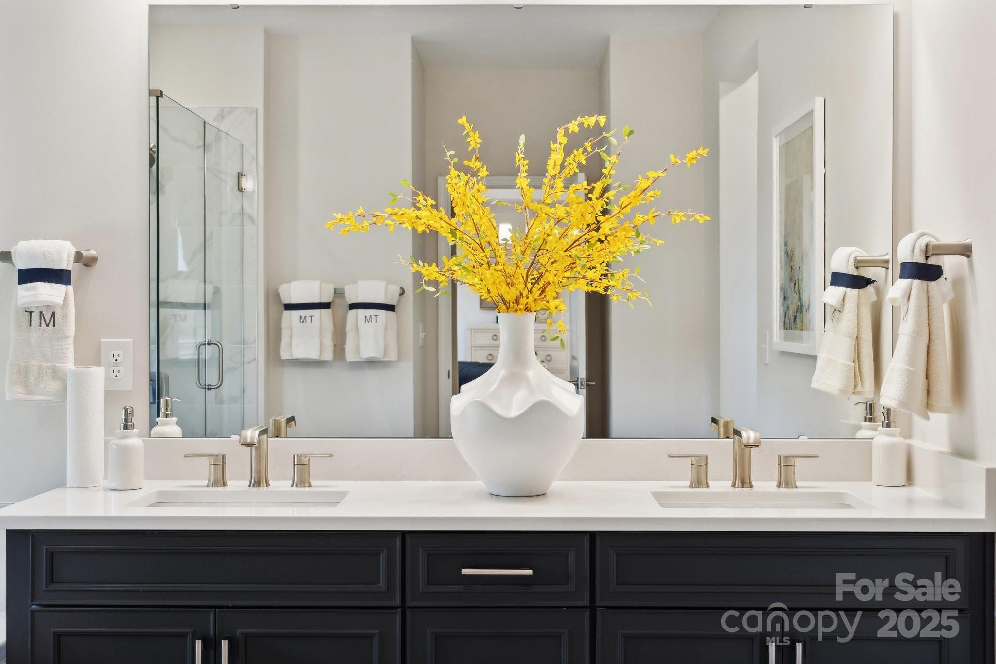 1590 Hubert Graham Way Tega Cay, SC 29708 - Photo 9 of 32 a bathroom with a sink a vanity and a mirror
