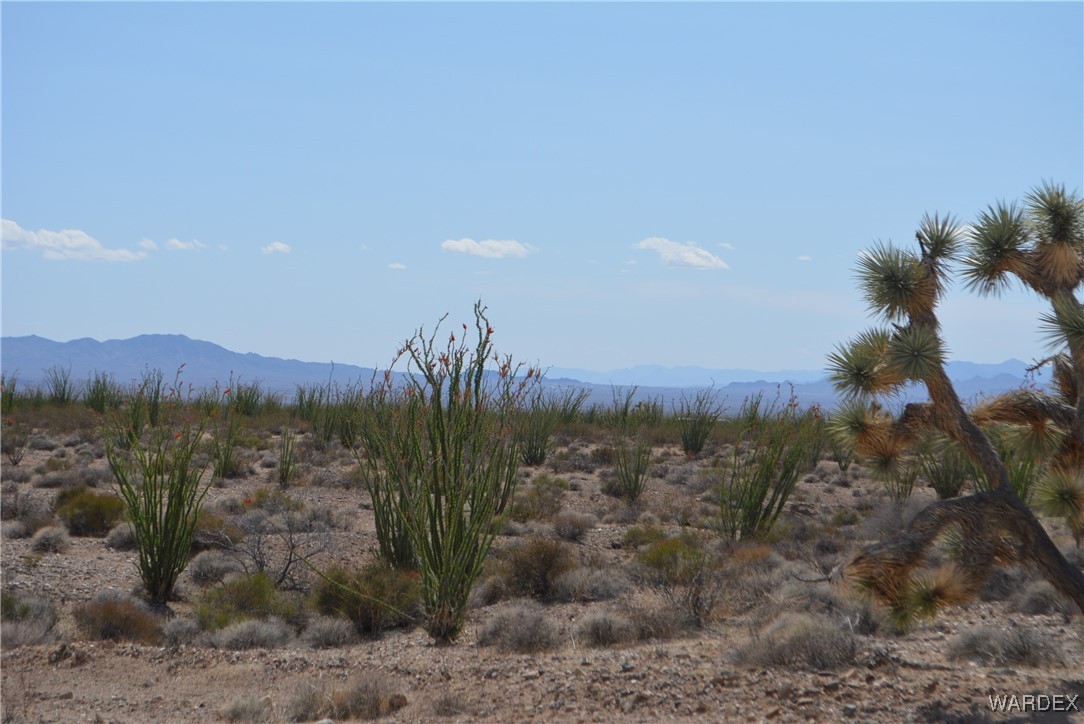 245-24-107 South Rainbow Road Yucca, AZ 86438 - Photo 70 of 91