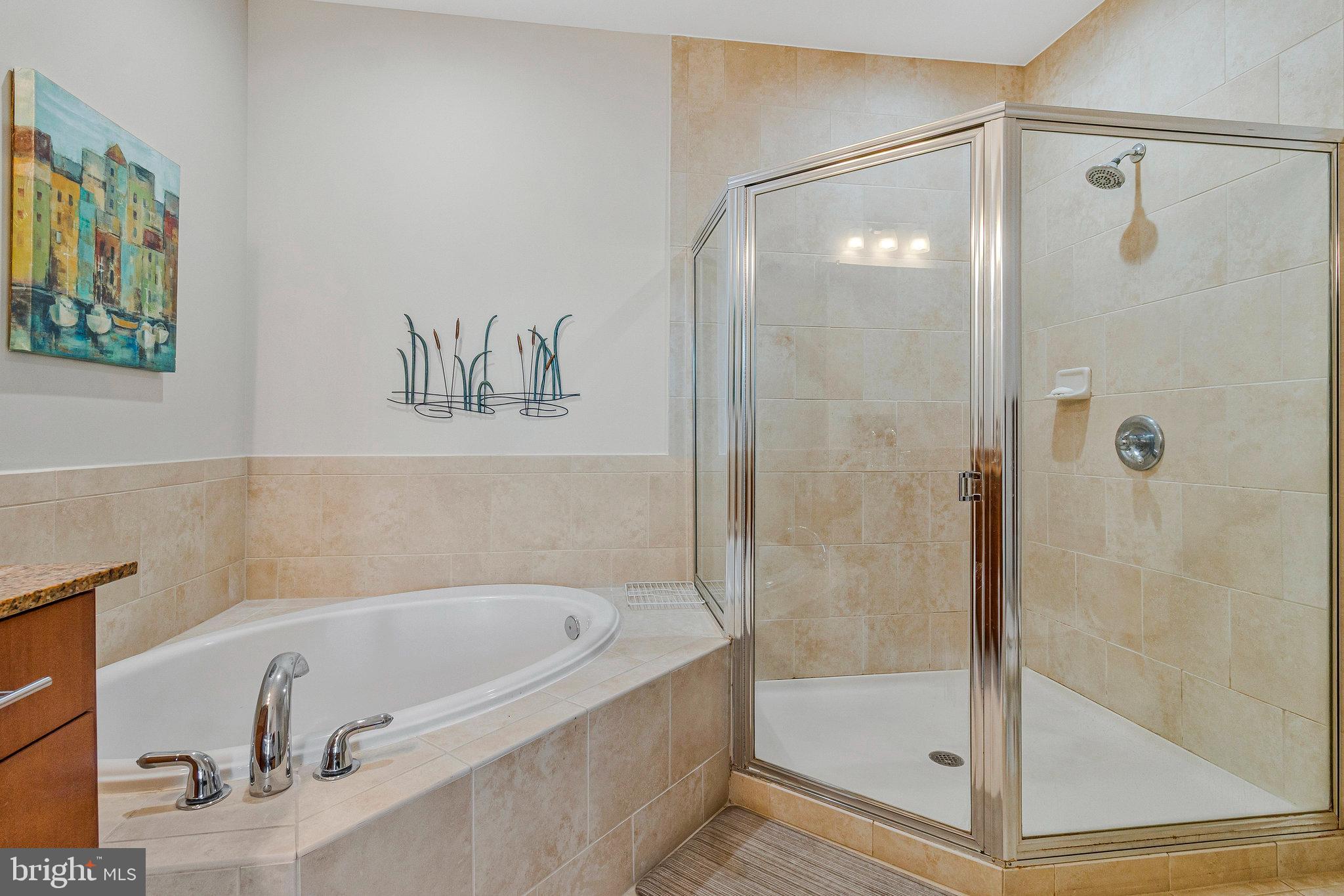 444 West Broad Street, Unit 401 Falls Church, VA 22046 - Photo 16 of 43 a bathroom with a bathtub and a shower