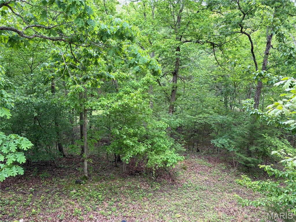 4412 North Virginia Mines Road St. Clair, MO 63077 - Photo 18 of 23