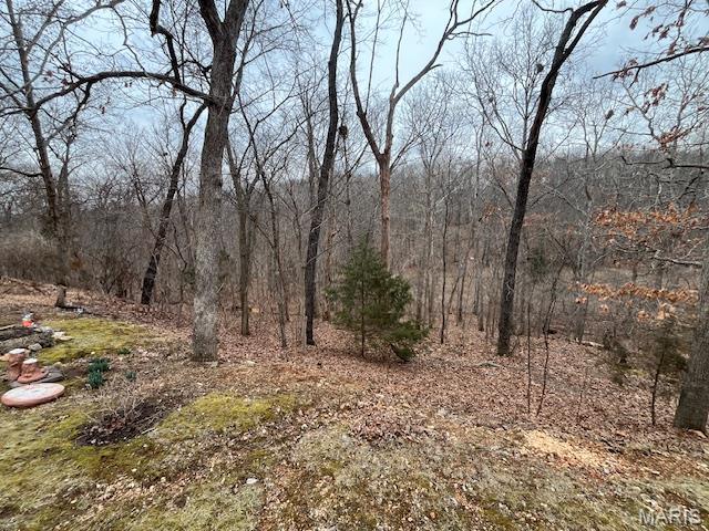 4412 North Virginia Mines Road St. Clair, MO 63077 - Photo 7 of 23