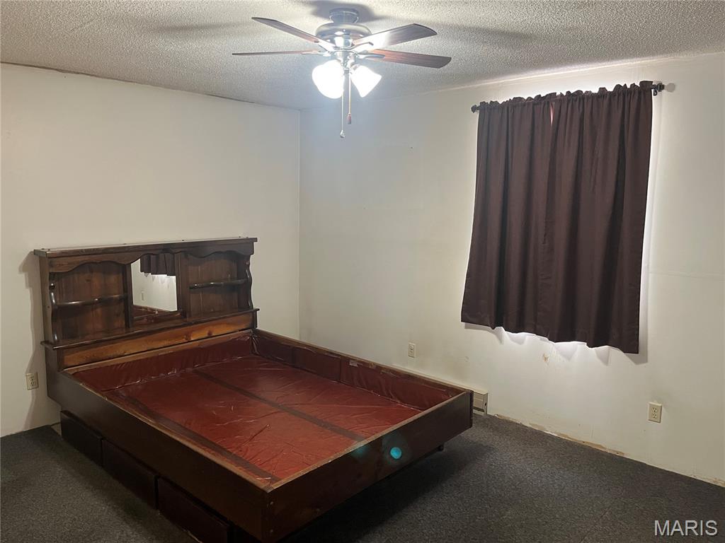 4412 North Virginia Mines Road St. Clair, MO 63077 - Photo 9 of 15