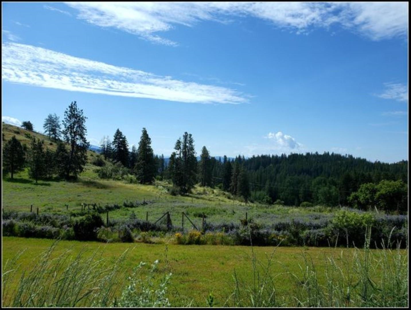 3378 B Hill Loop Road Kettle Falls, WA 99141 - Photo 43 of 48 Gallery Image 43
