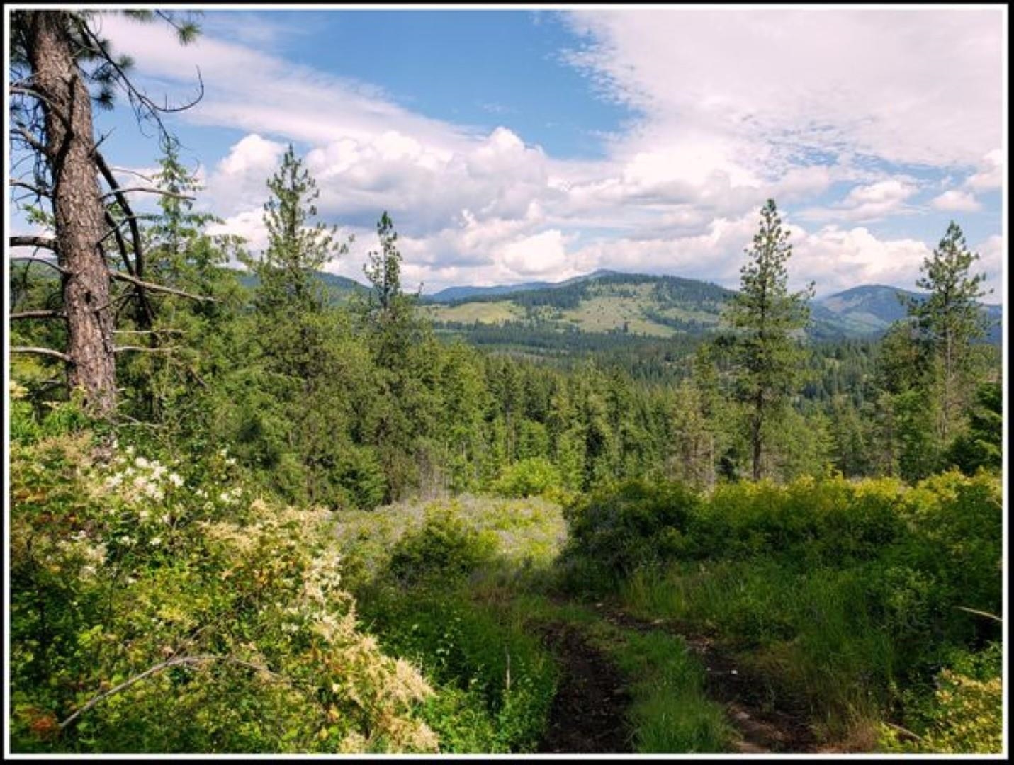 3378 B Hill Loop Road Kettle Falls, WA 99141 - Photo 45 of 48 Gallery Image 45