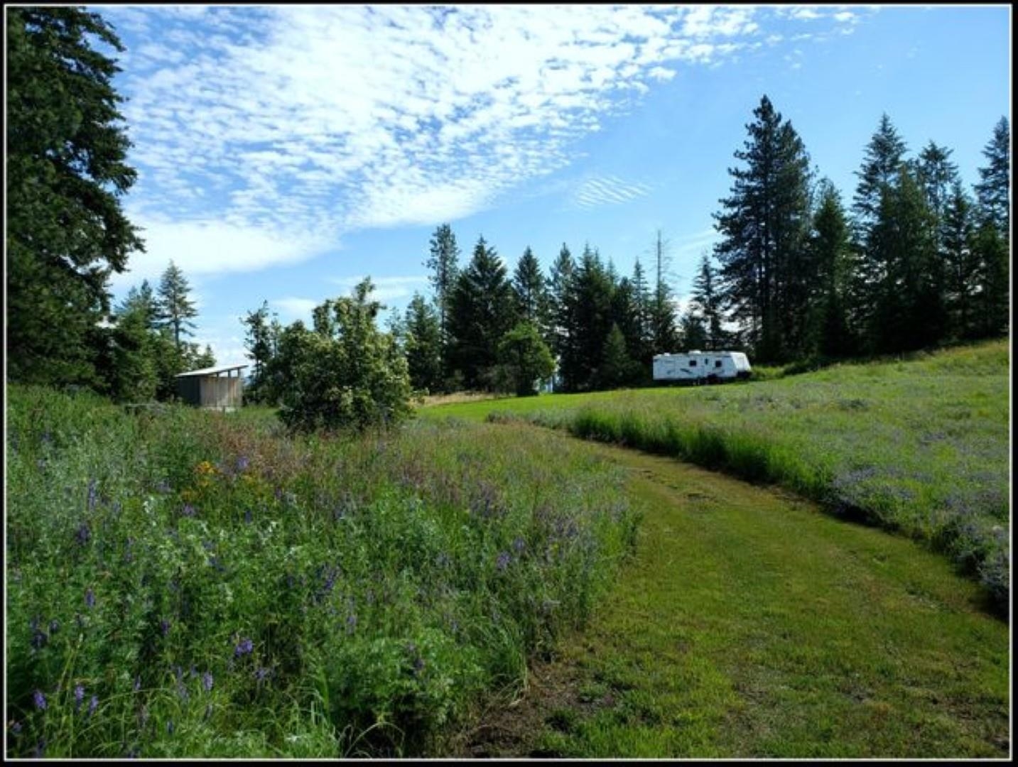3378 B Hill Loop Road Kettle Falls, WA 99141 - Photo 9 of 48 Gallery Image 9