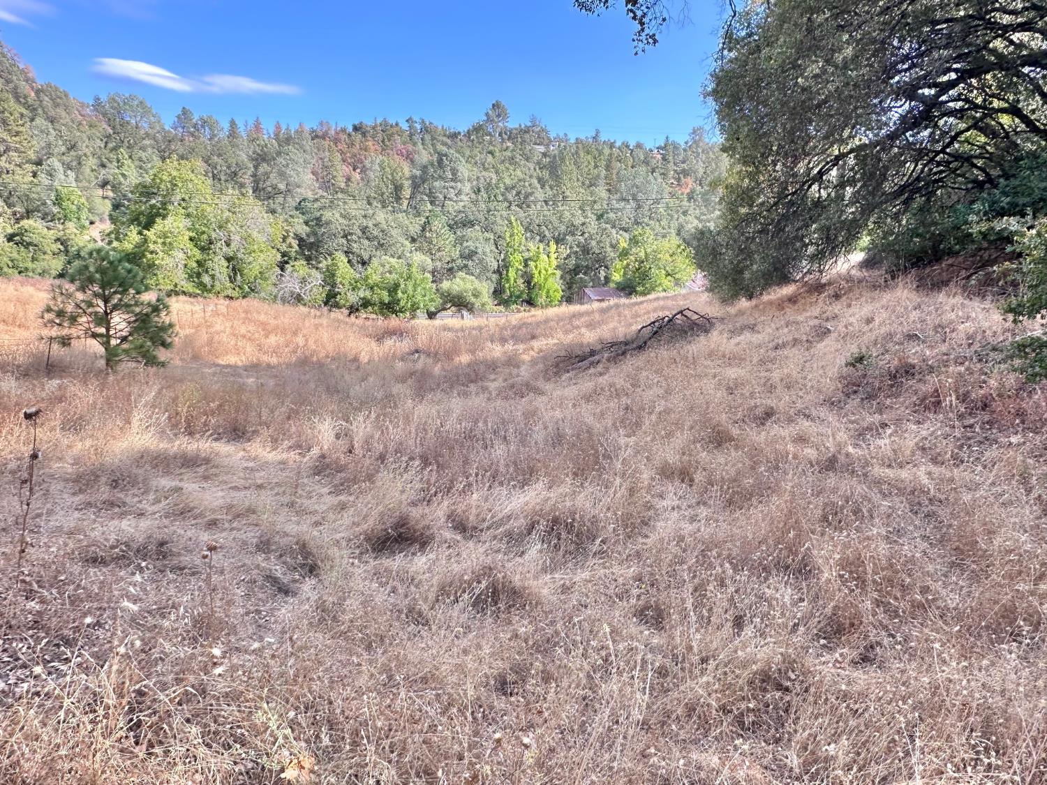 3280 Murphys Grade Road Murphys, CA 95247 - Photo 55 of 57 Gallery Image 55