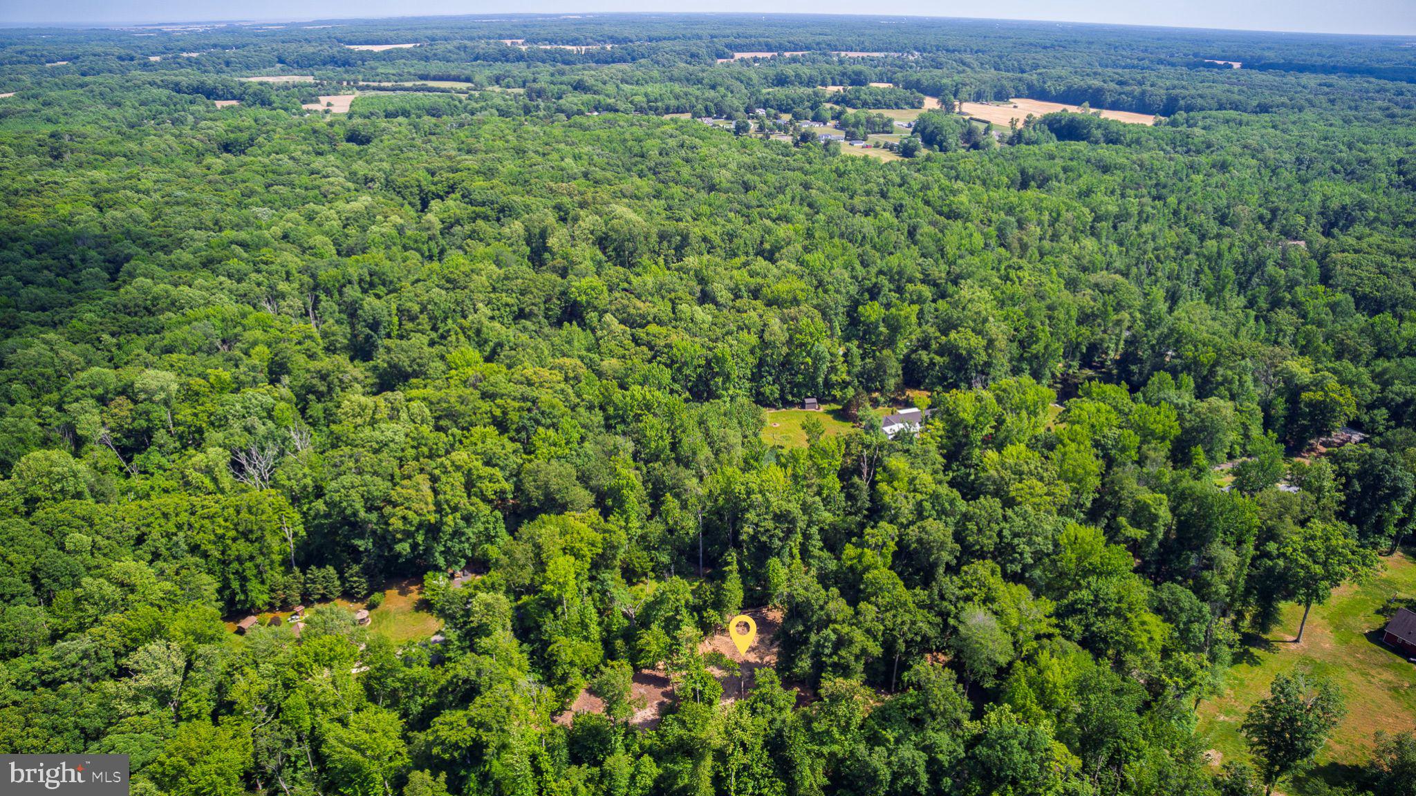 583 Blackbird Landing Road Townsend, DE 19734 - Photo 11 of 11 Aerial View