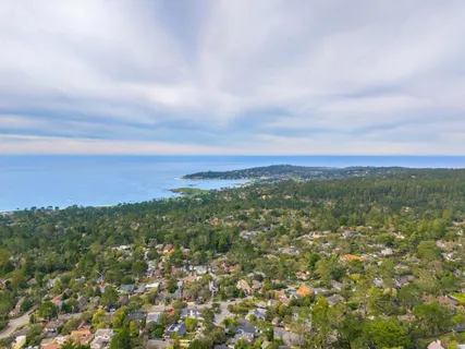 a view of a city with lush green forest